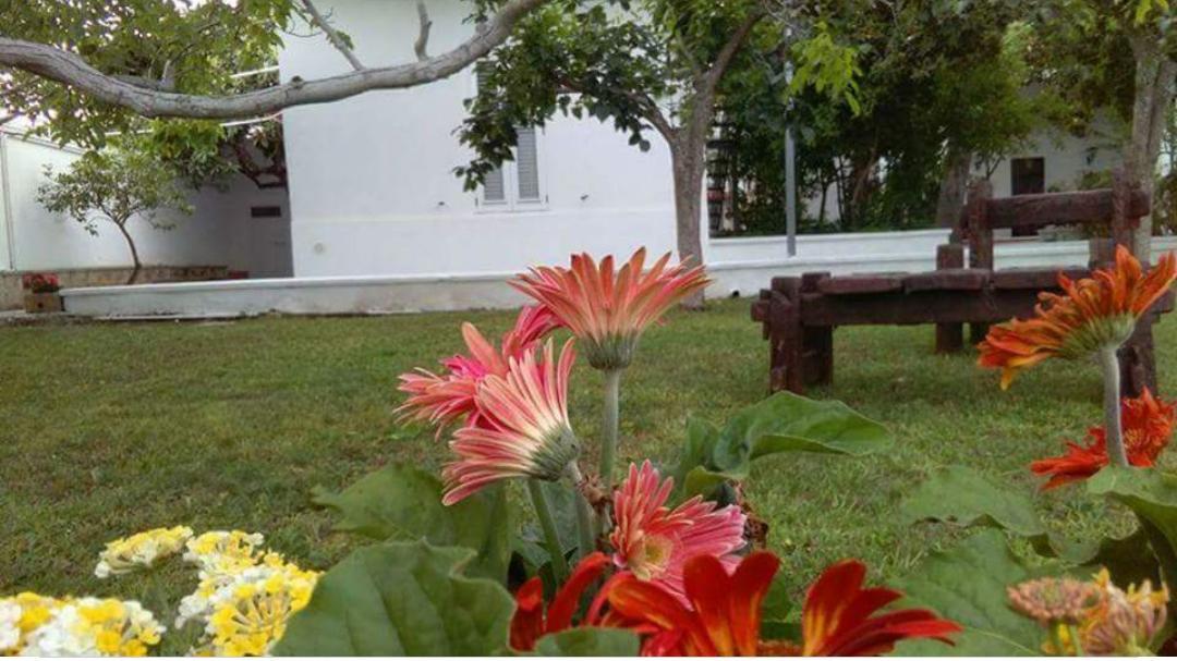 Borgo Fiore Country House Salice Salentino Exteriér fotografie