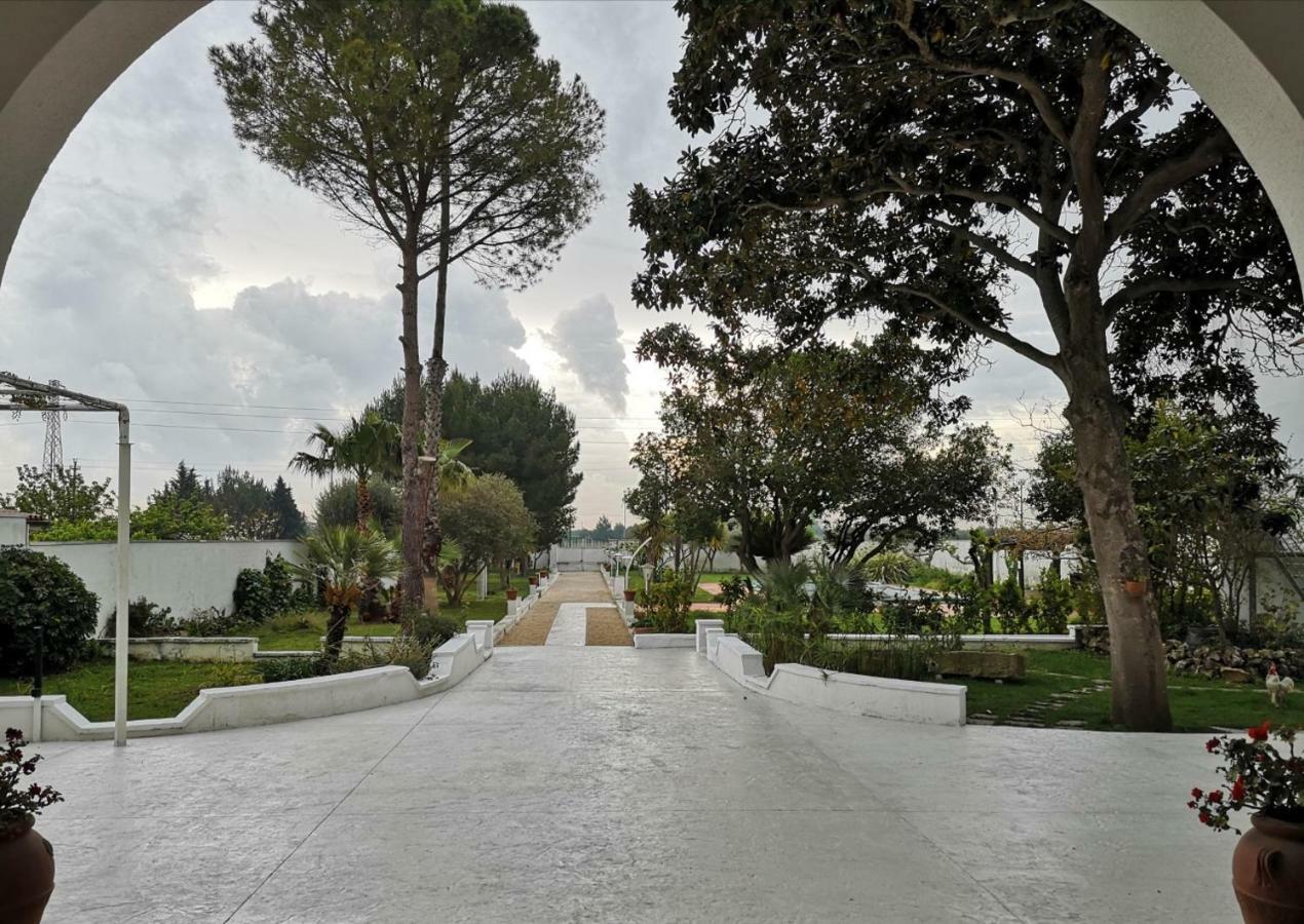 Borgo Fiore Country House Salice Salentino Exteriér fotografie